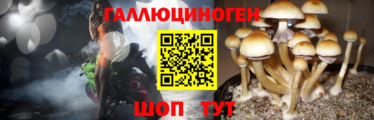 Псилоцибиновые грибы прущие грибы Черногорск